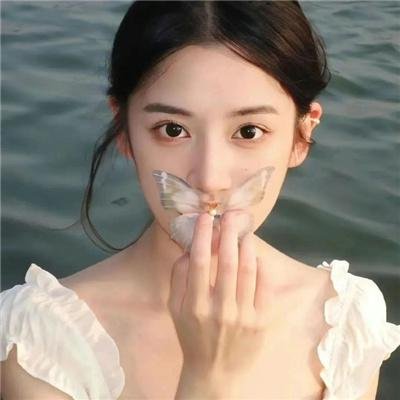 总统班底