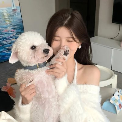 赛车娇娃